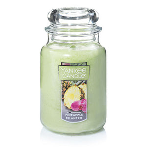 Yankee Classic Jar Candle - Pineapple Cilantro - Candle Cottage