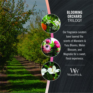 WoodWick Trilogy - Large - Blooming Orchard
