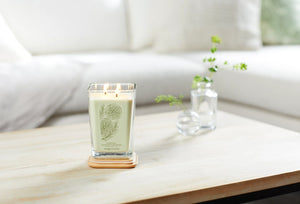 Yankee Candle - Well Living - Large - Energizing Grapefruit & Rosemary