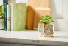 Yankee Candle - Well Living - Medium - Refreshing Eucalyptus & Mint
