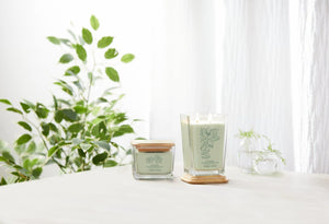 Yankee Candle - Well Living - Medium - Optimistic Lotus Blossom & Aloe