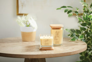 Yankee Candle - Well Living - Large - Revitalizing Ginger & Lemon