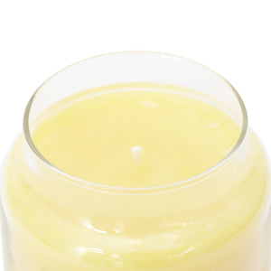 Yankee Classic Jar Candle - Large - Flowers in the Sun