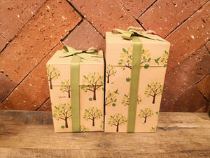 Gift Box - Candle Cottage