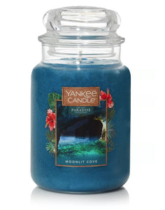 Yankee Classic Jar Candle - Large - Moonlit Cove