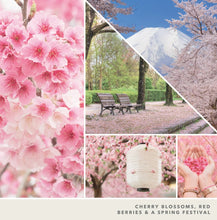 Yankee Signature Jar Candle - Large - Sakura Blossom Festival