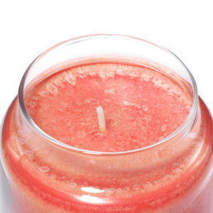 Yankee Classic Jar Candle - Large - Sun-Drenched Apricot Rose
