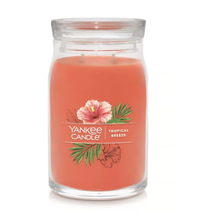 Yankee Signature Jar Candle - Large - Tropical Breeze