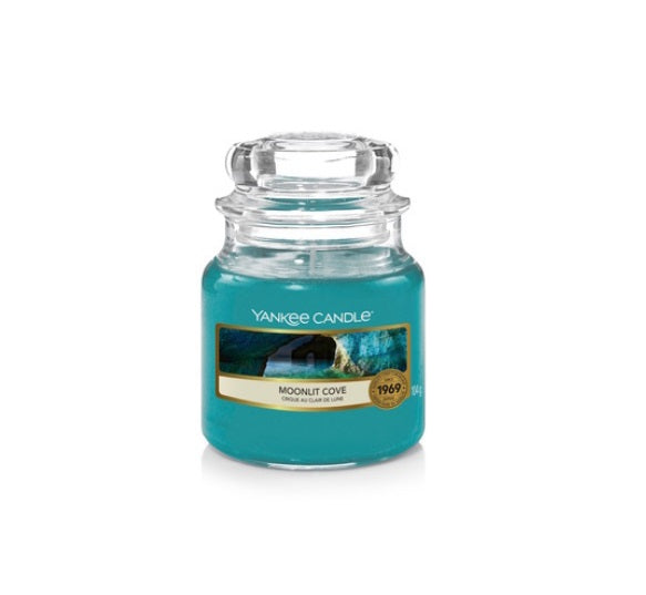 Yankee Classic Jar Candle - Small - Moonlit Cove