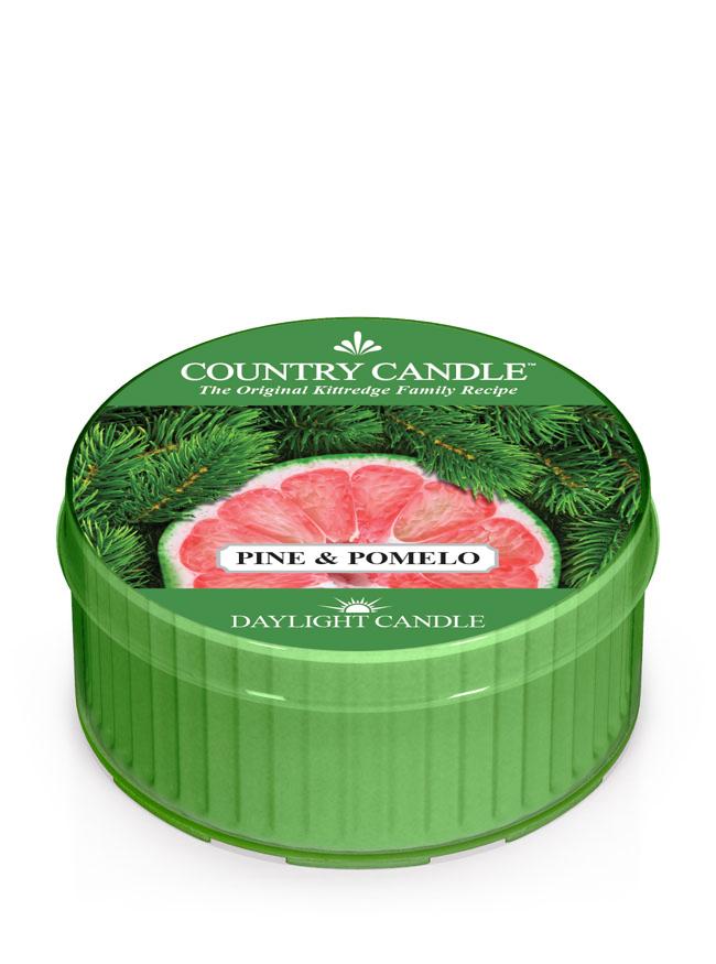 Country Candle Daylight - Pine & Pomelo